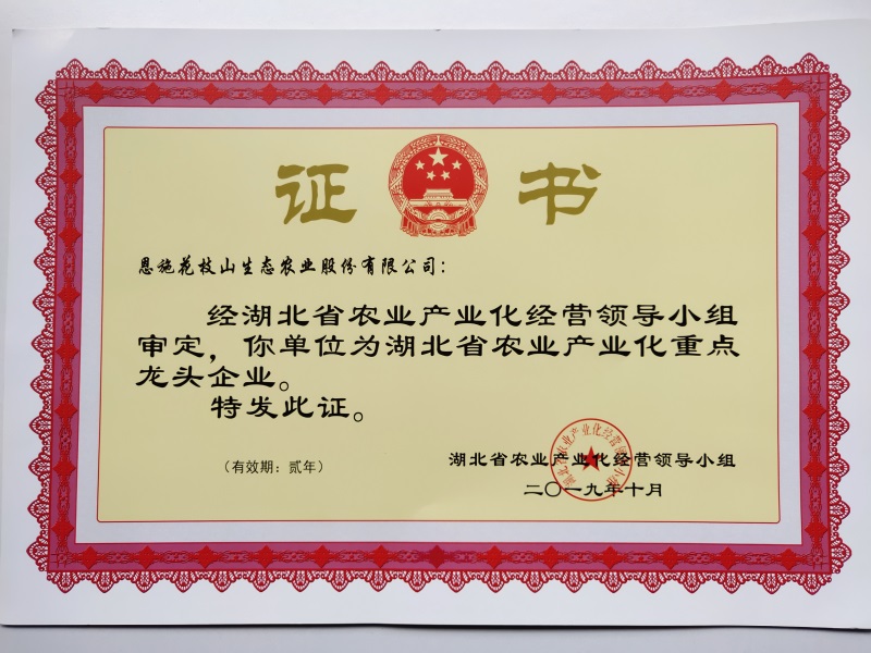 1.省龙头企业证书.jpg